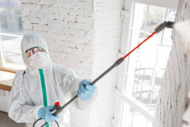 Best Crawl Space Mold Remediation  in Ohatchee, AL