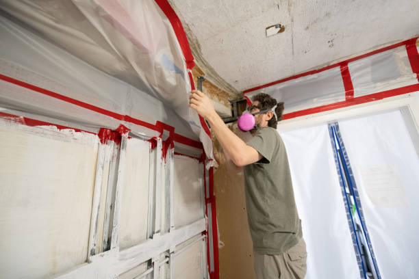 Best Mold Prevention Services  in Ohatchee, AL