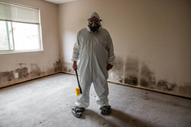 Best Mold Odor Removal Services  in Ohatchee, AL